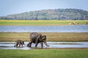 Урок 78 - Степени сравнения прилагательных