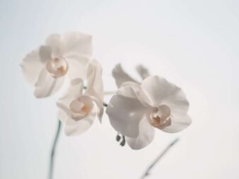 100 дней 6 {{brizy_dc_image_alt entityId=