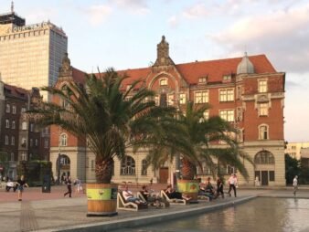 {{brizy_dc_image_alt entityId=